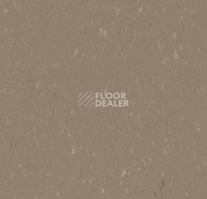 Линолеум Forbo Marmoleum Solid Piano 3631-363135 otter фото 1 | FLOORDEALER